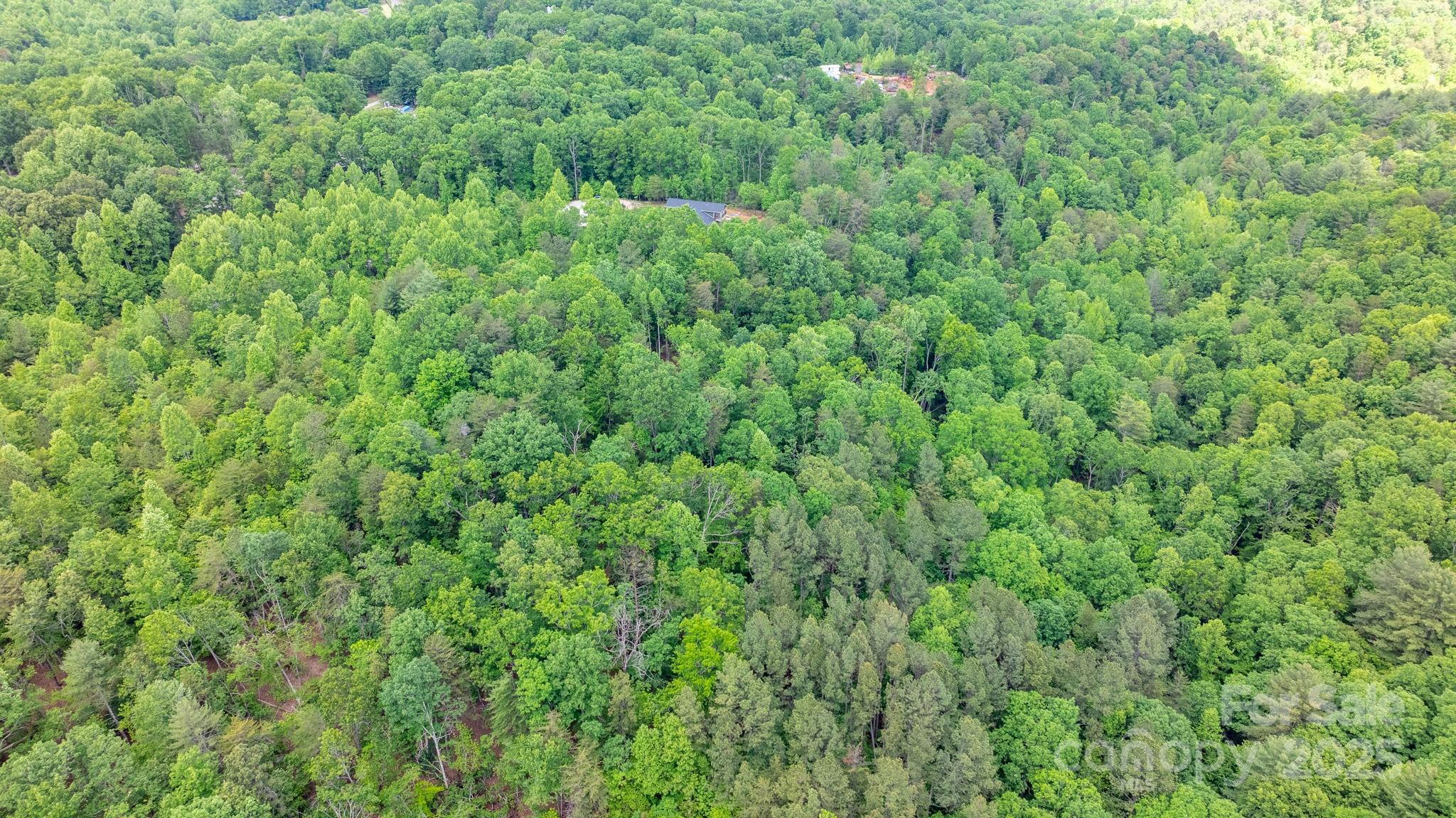 Tbd Darrow Drive 95 Property Photo 10