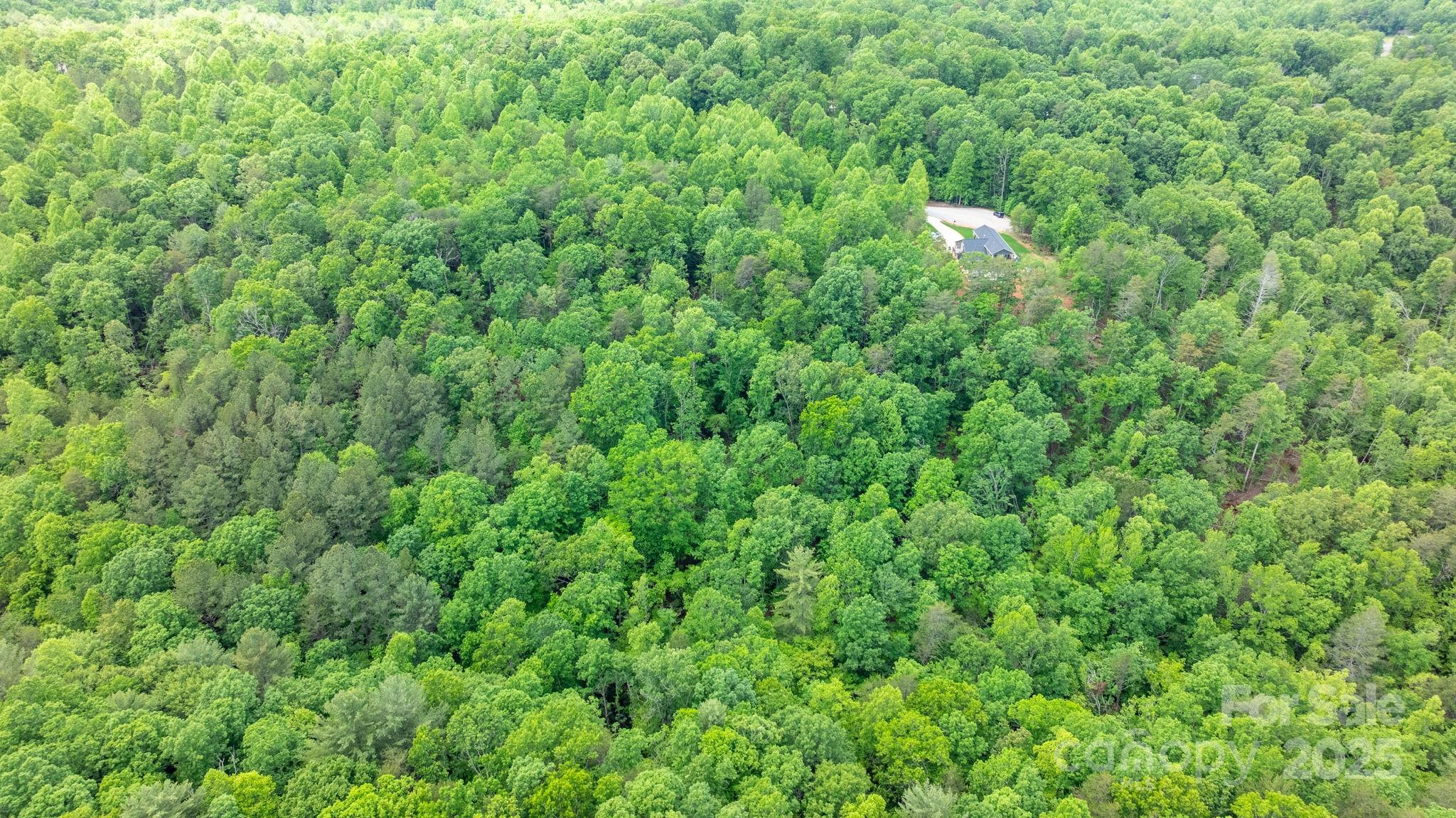 Tbd Darrow Drive 95 Property Photo 11