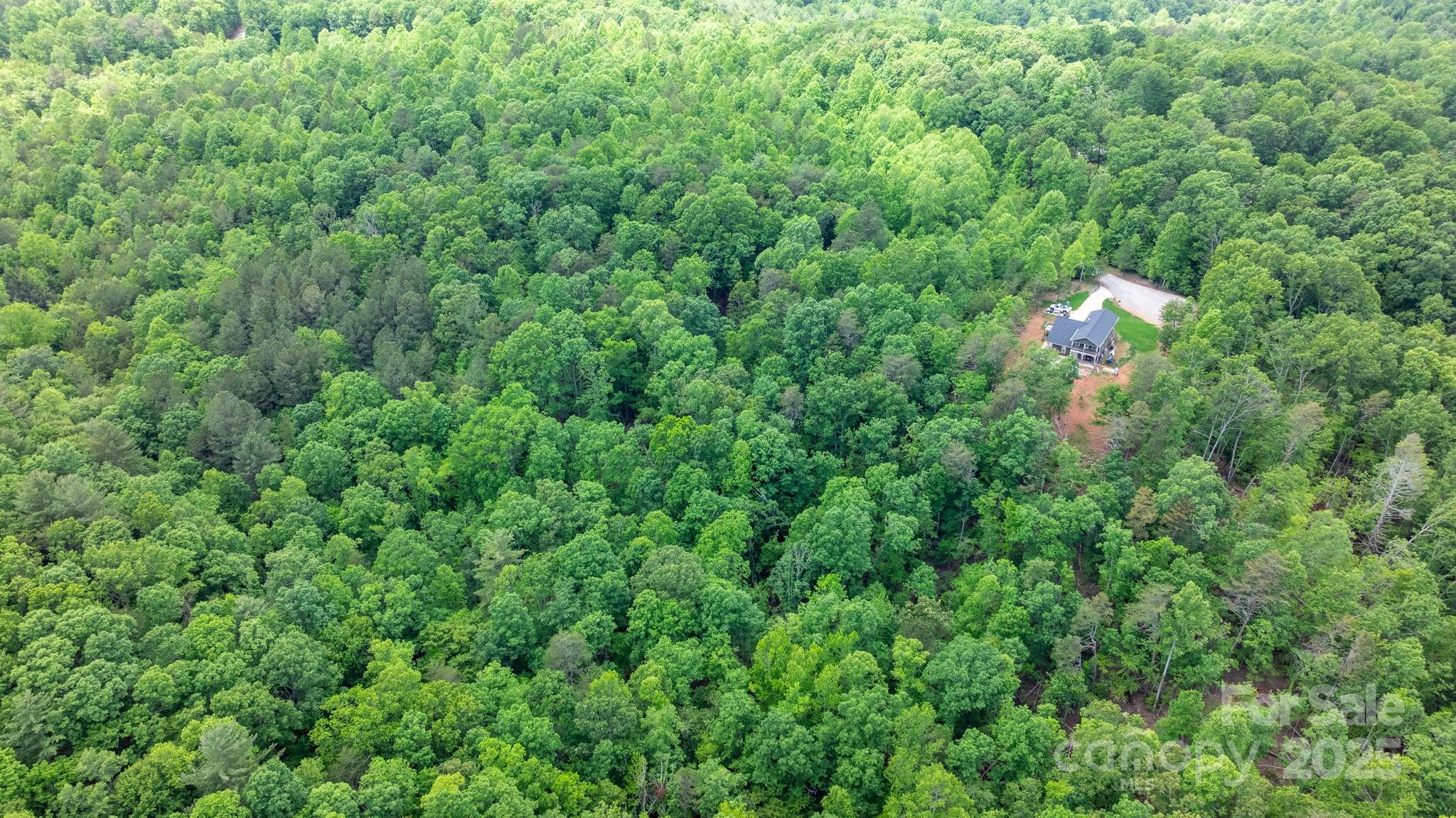 Tbd Darrow Drive 95 Property Photo 12