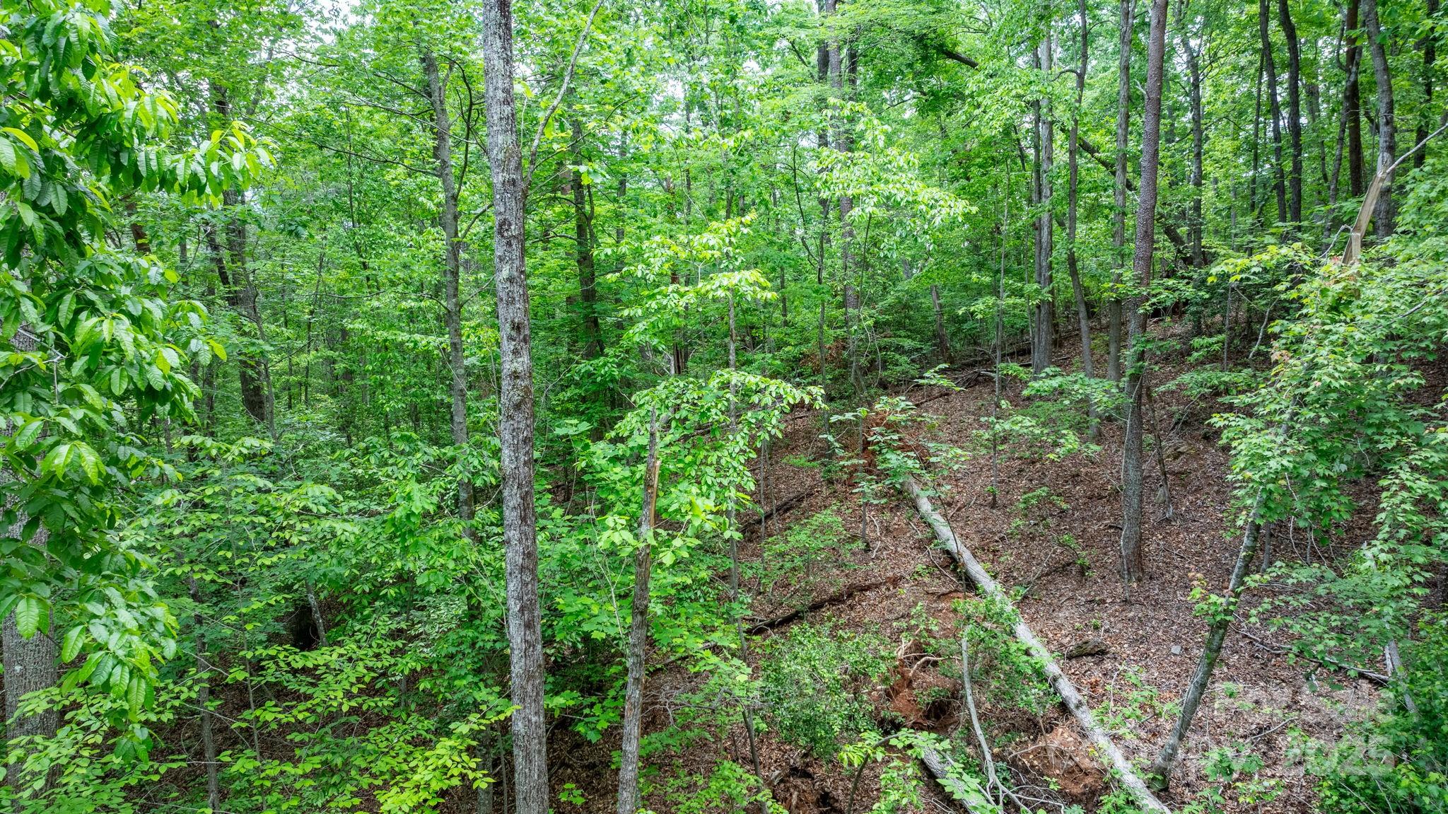 Tbd Darrow Drive 95 Property Photo 16