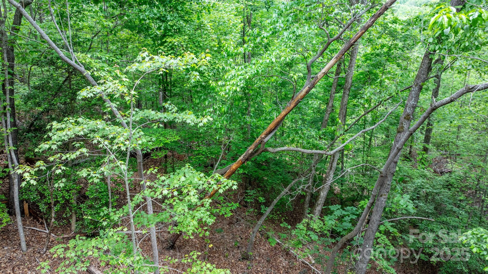 Tbd Darrow Drive 95 Property Photo 17