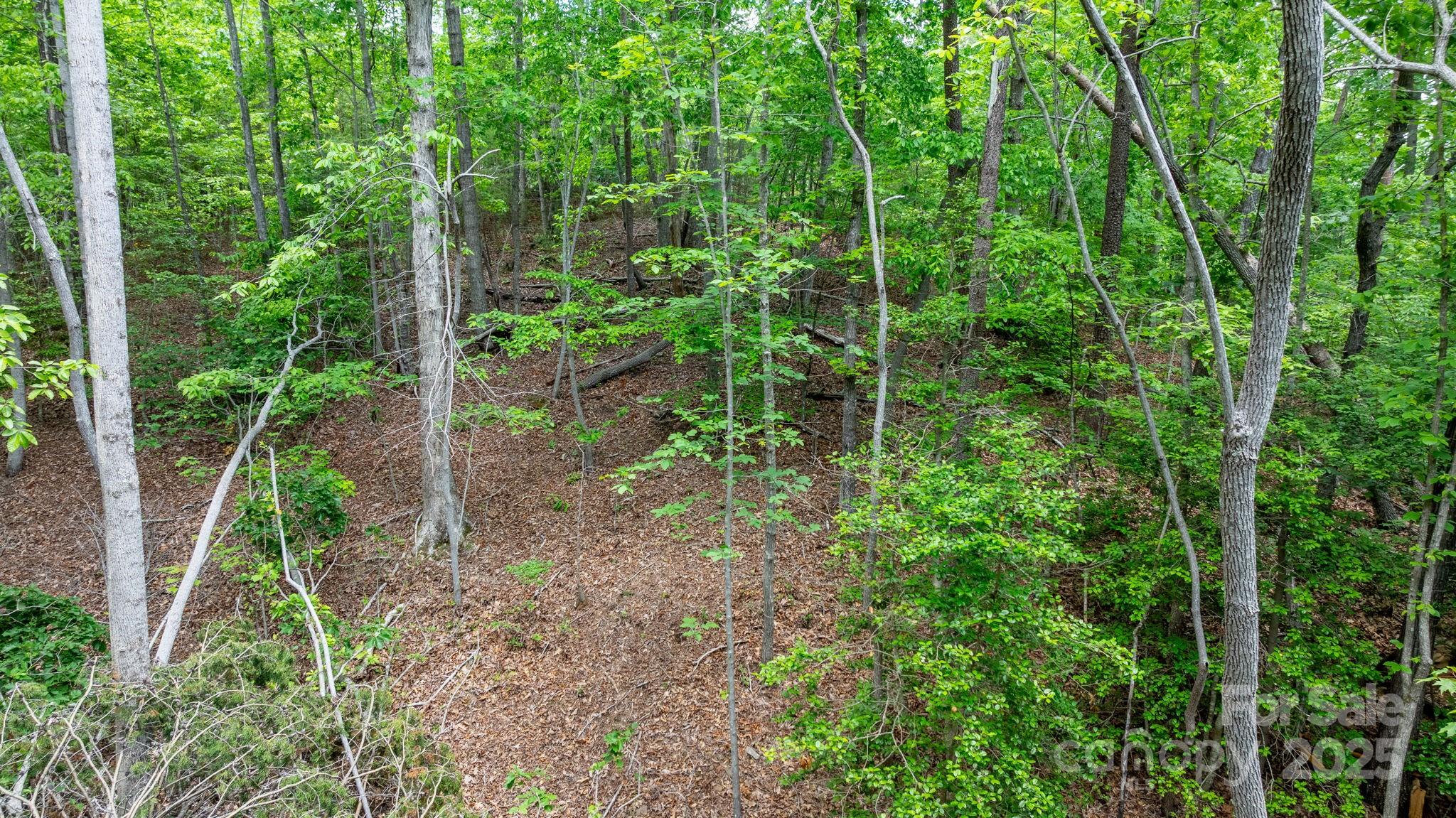 Tbd Darrow Drive 95 Property Photo 18