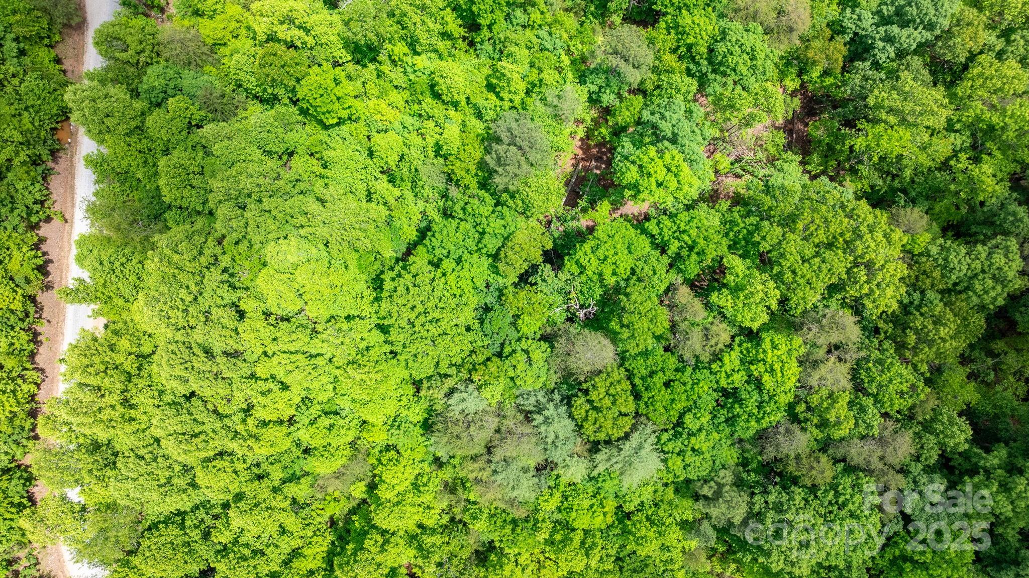 Tbd Darrow Drive 95 Property Photo 19