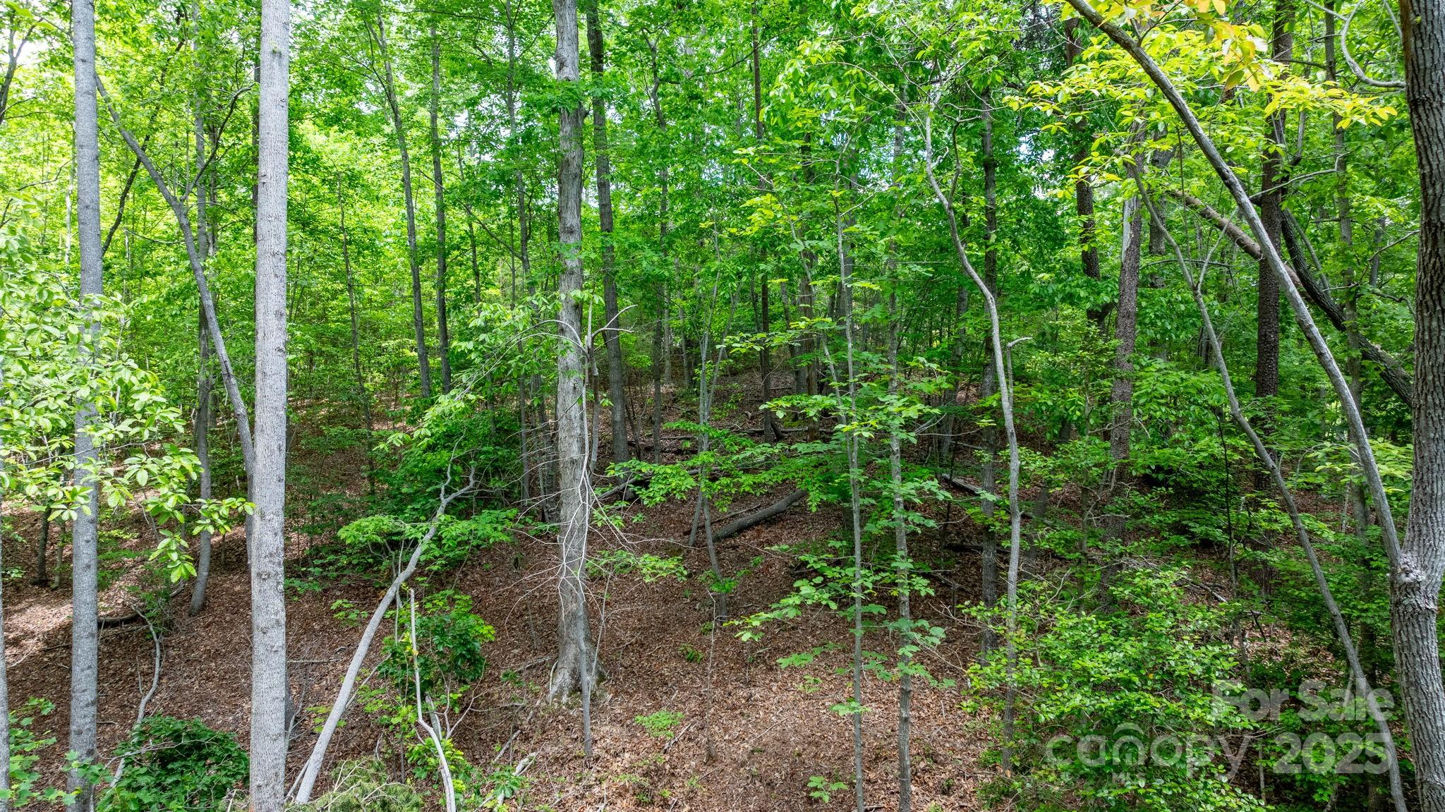 Tbd Darrow Drive 95 Property Photo 20