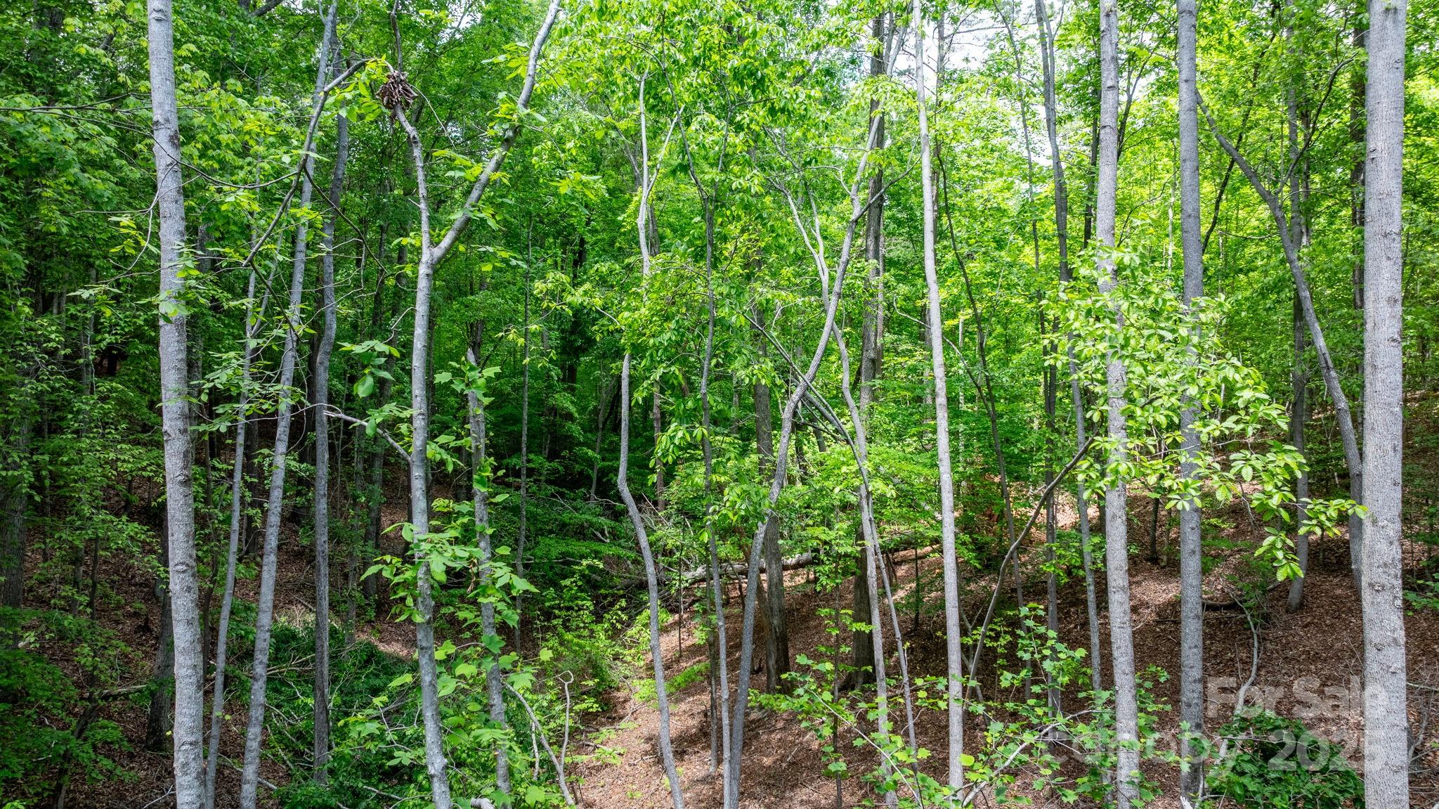 Tbd Darrow Drive 95 Property Photo 21