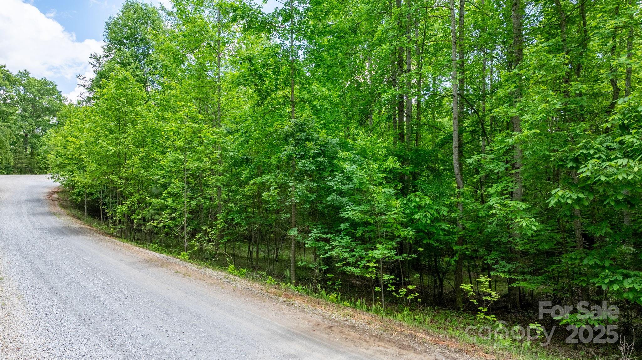 Tbd Darrow Drive 95 Property Photo 22