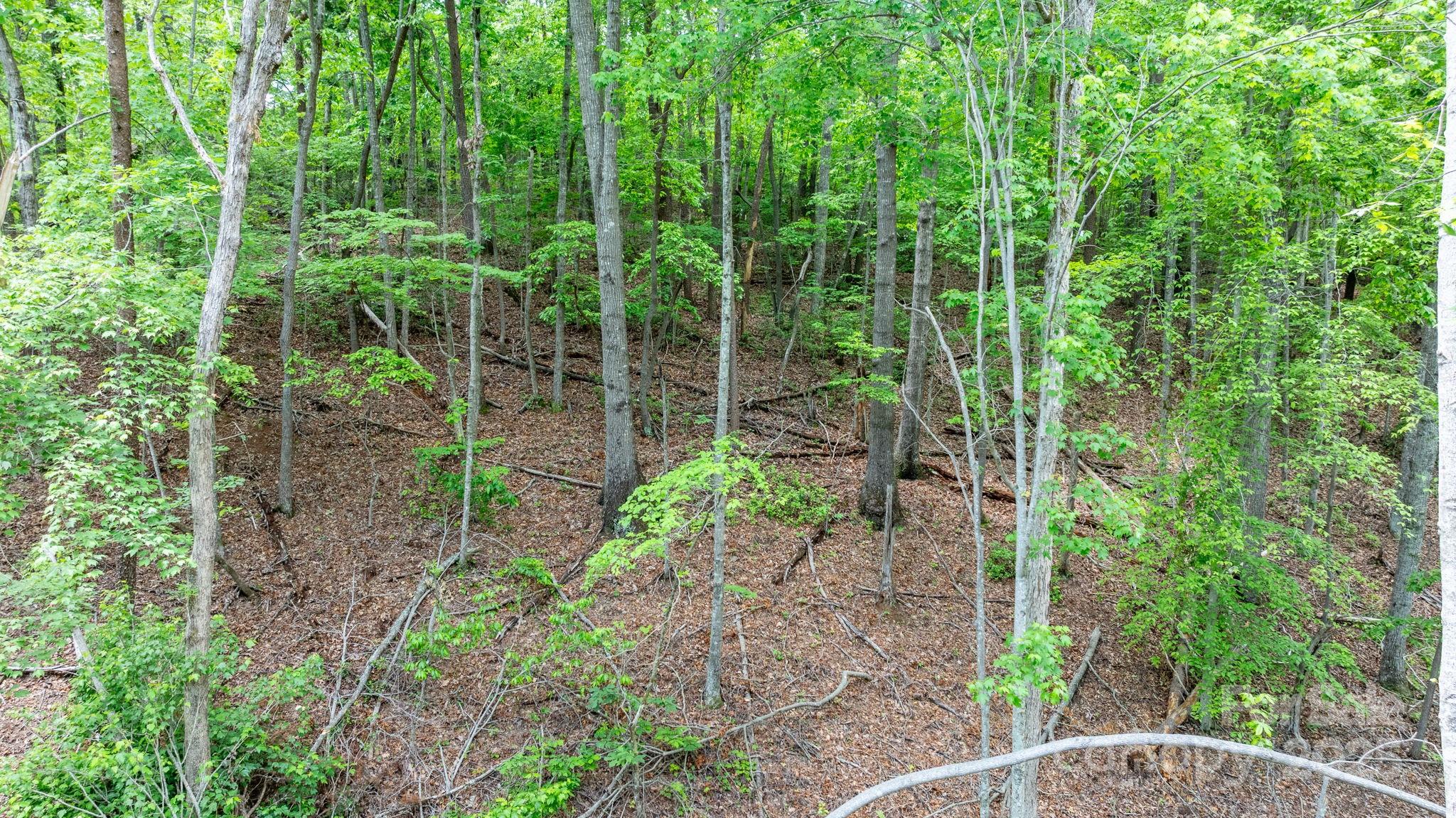 Tbd Darrow Drive 95 Property Photo 23