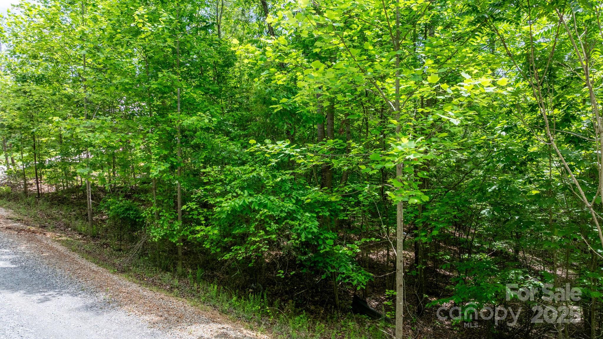 Tbd Darrow Drive 95 Property Photo 25