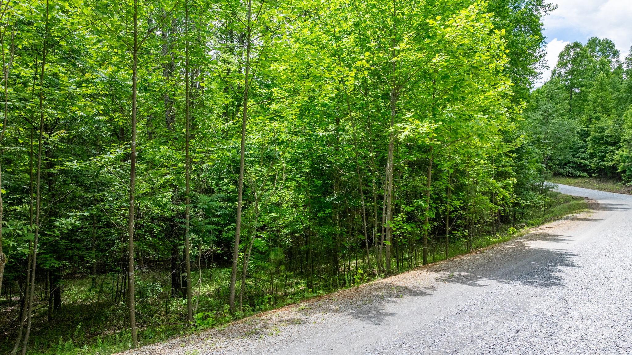 Tbd Darrow Drive 95 Property Photo 27