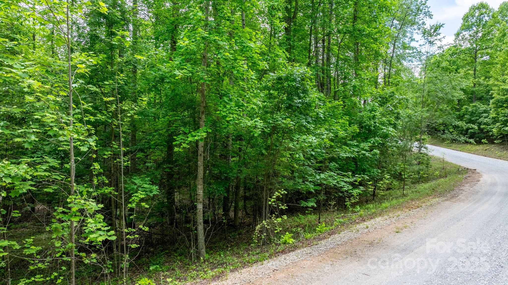 Tbd Darrow Drive 95 Property Photo 28