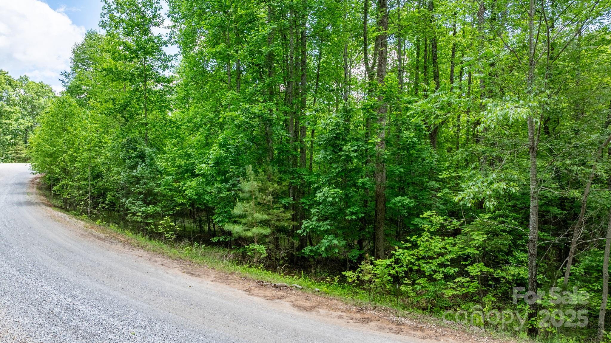 Tbd Darrow Drive 95 Property Photo 29