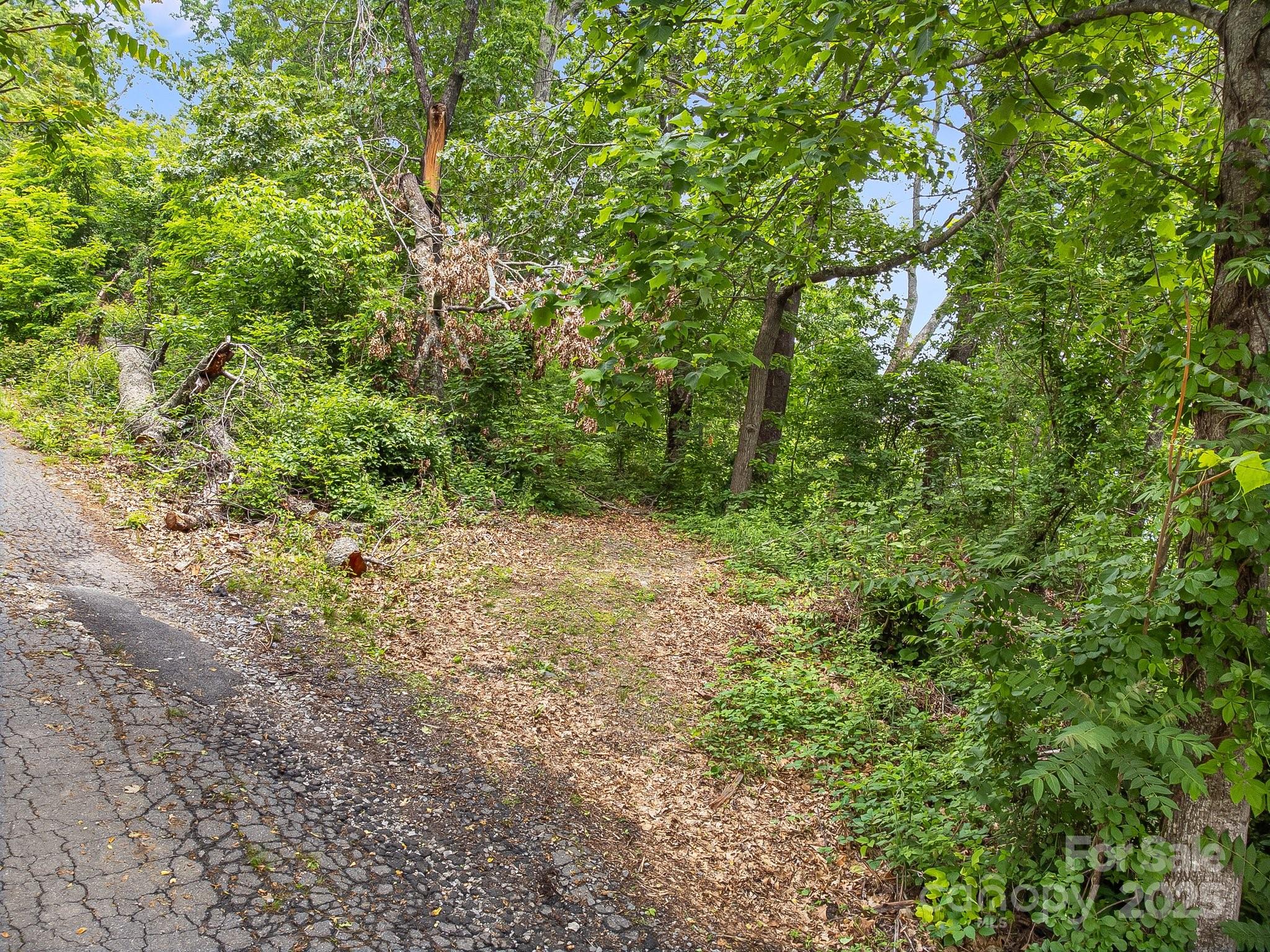 9999 Small Mountain Drive Property Photo 5