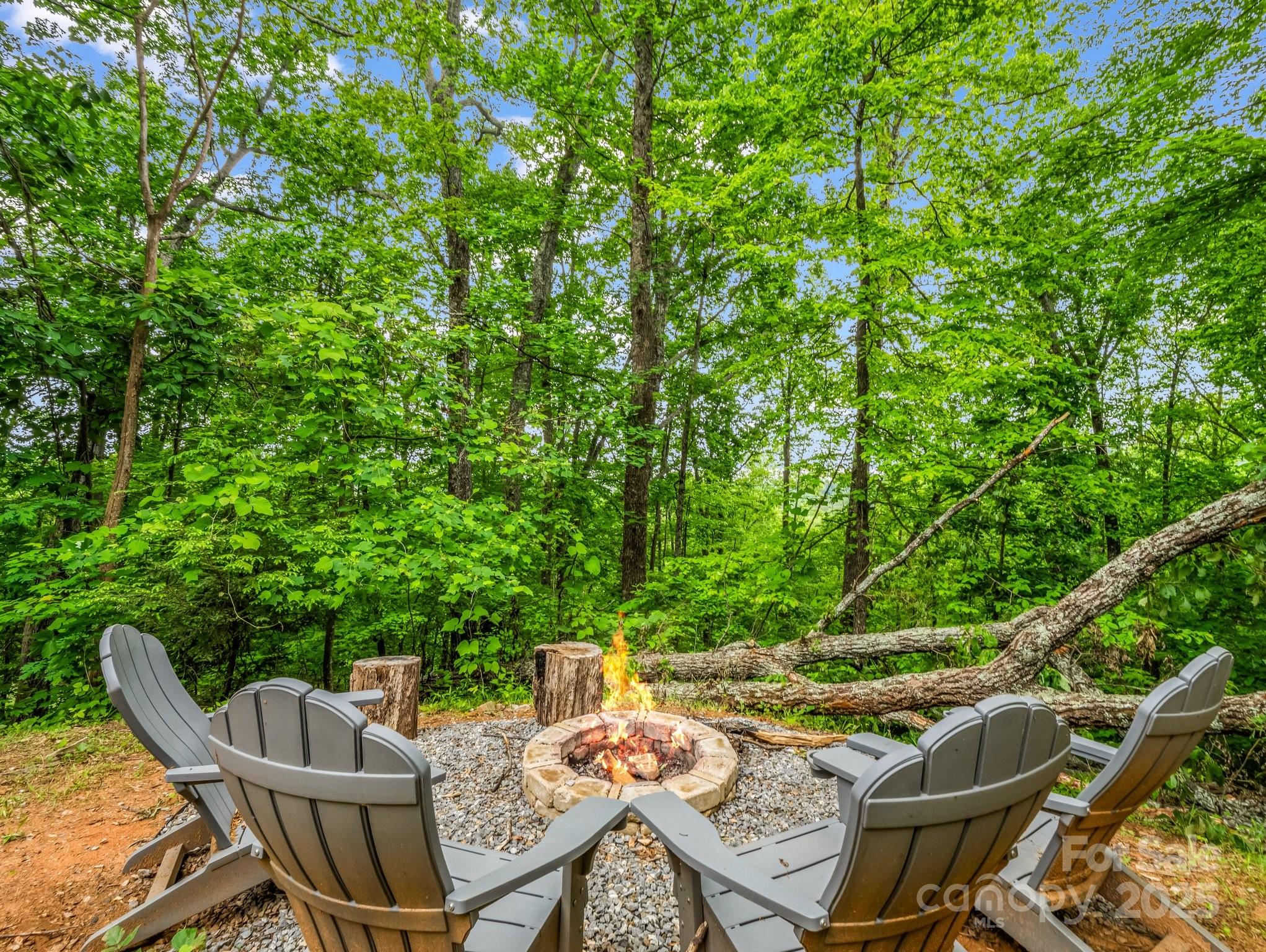 119 Celestial Way Property Photo 42