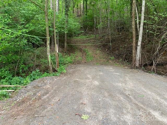 42.16 Acs Green River Cove Road 42.162 Ac. Property Photo 1