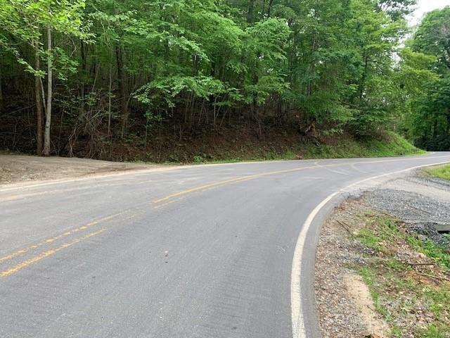 42.16 Acs Green River Cove Road 42.162 Ac. Property Photo 2