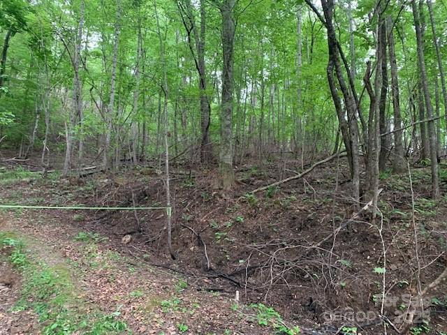 42.16 Acs Green River Cove Road 42.162 Ac. Property Photo 4