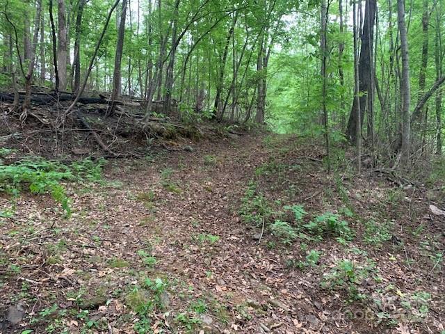 42.16 Acs Green River Cove Road 42.162 Ac. Property Photo 5