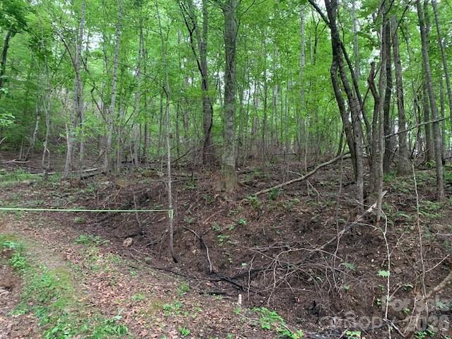 42.16 Acs Green River Cove Road 42.162 Ac. Property Photo 7