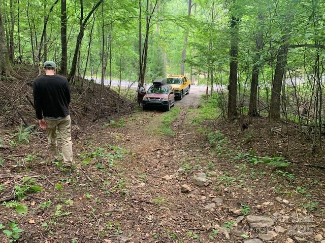42.16 Acs Green River Cove Road 42.162 Ac. Property Photo 15
