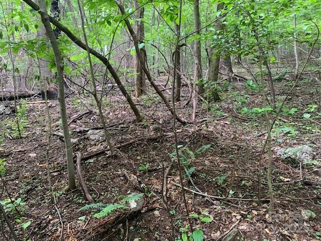 42.16 Acs Green River Cove Road 42.162 Ac. Property Photo 16