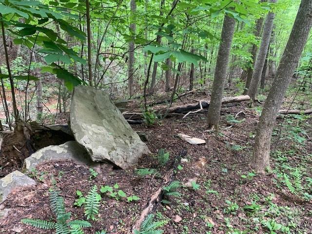 42.16 Acs Green River Cove Road 42.162 Ac. Property Photo 18