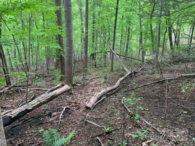 42.16 Acs Green River Cove Road 42.162 Ac. Property Photo 19
