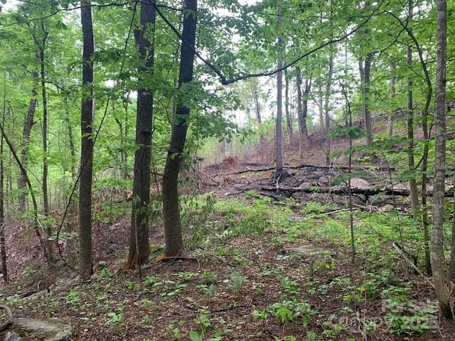 42.16 Acs Green River Cove Road 42.162 Ac. Property Photo 20