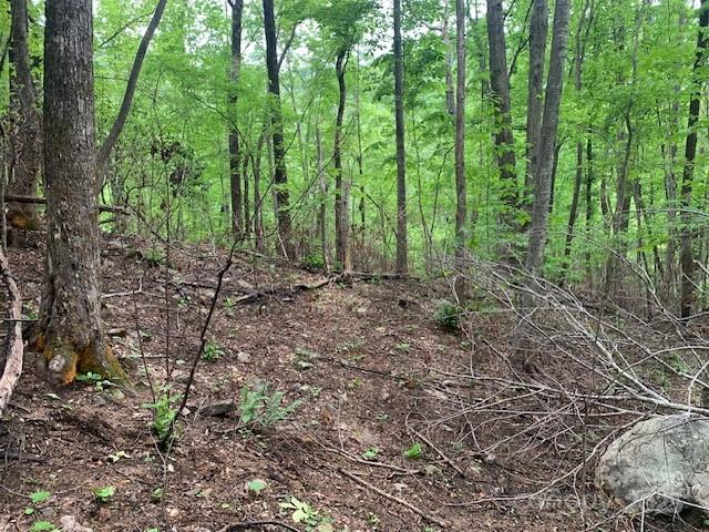 42.16 Acs Green River Cove Road 42.162 Ac. Property Photo 22