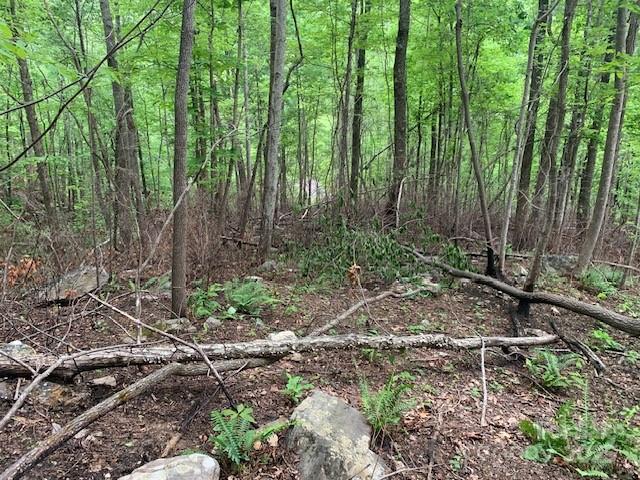 42.16 Acs Green River Cove Road 42.162 Ac. Property Photo 23