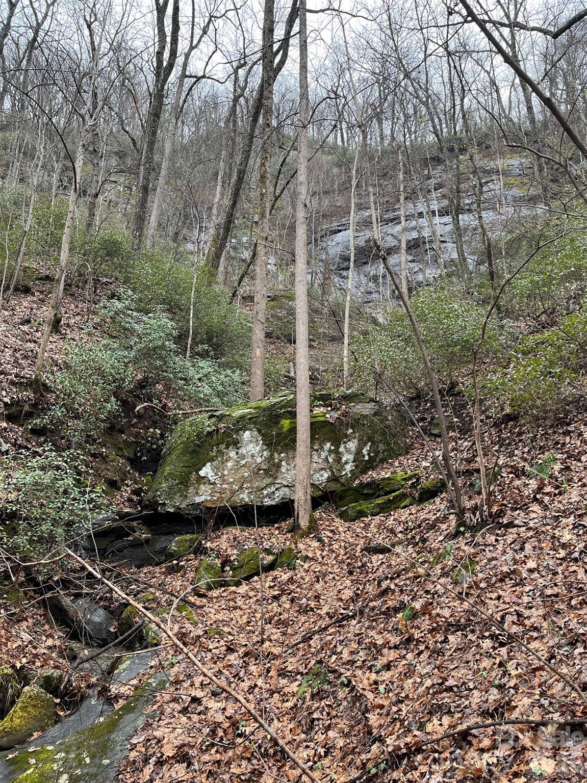 42.16 Acs Green River Cove Road 42.162 Ac. Property Photo 28