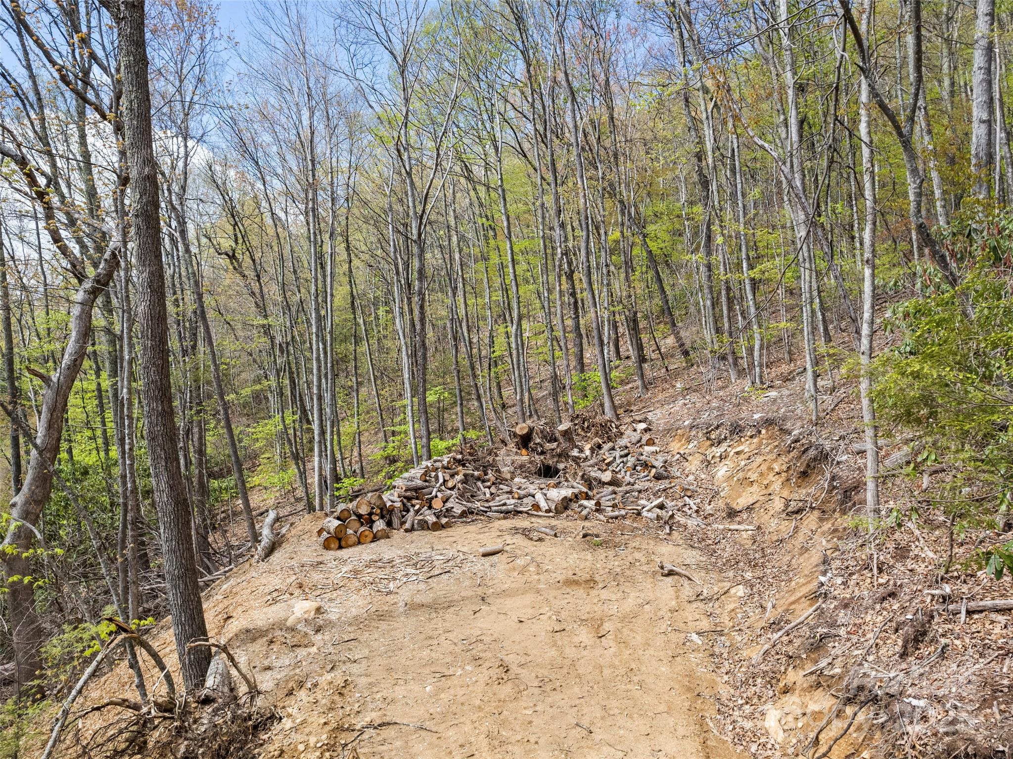 Lot G-44 Odalu Trail G-44 Property Photo 4