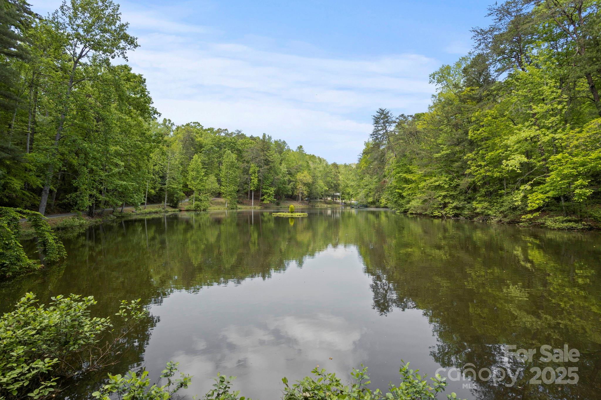 451 Pacolet Pond Lane Property Photo 43