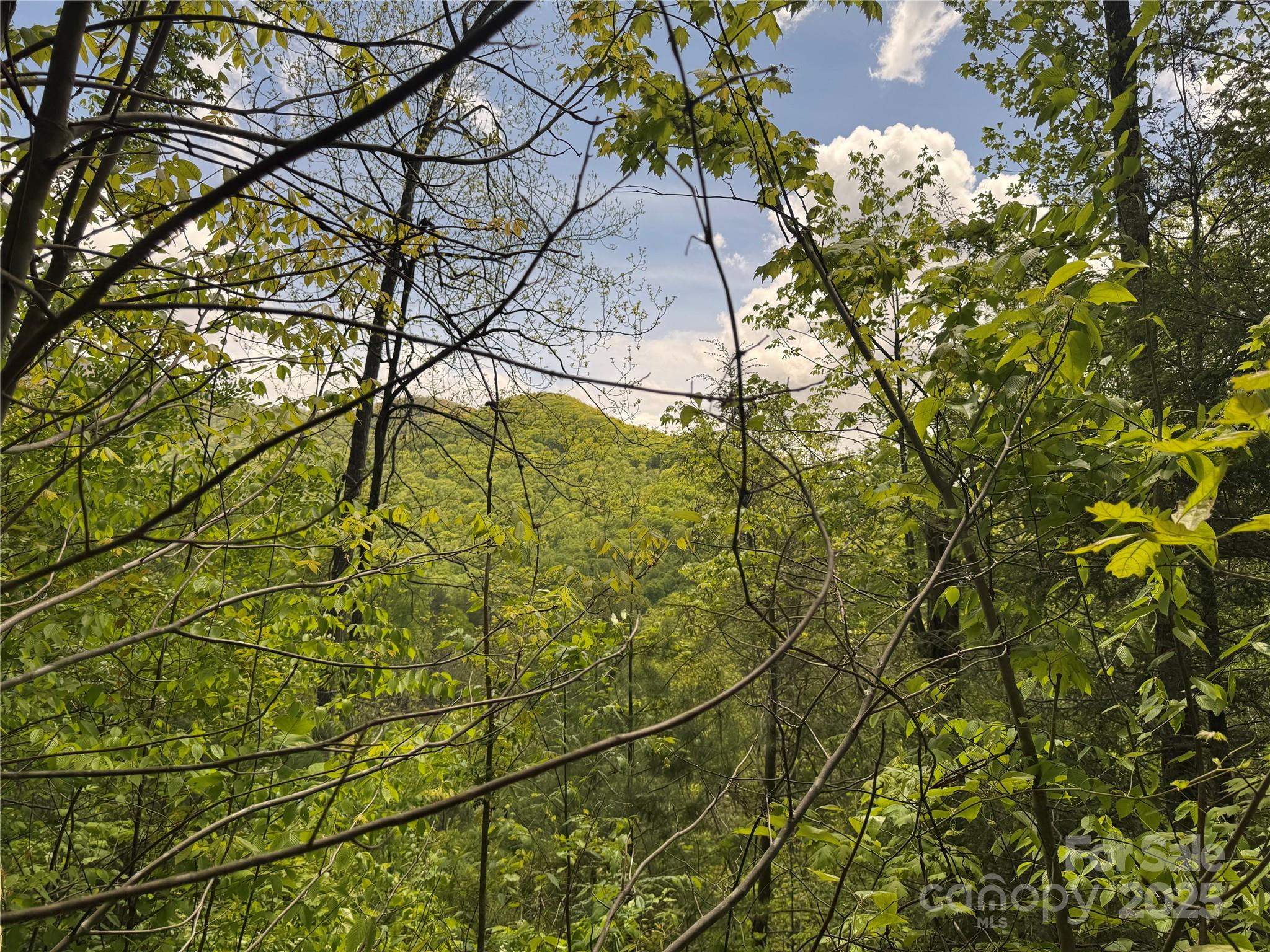 000 Rickman Ridge Property Photo 4