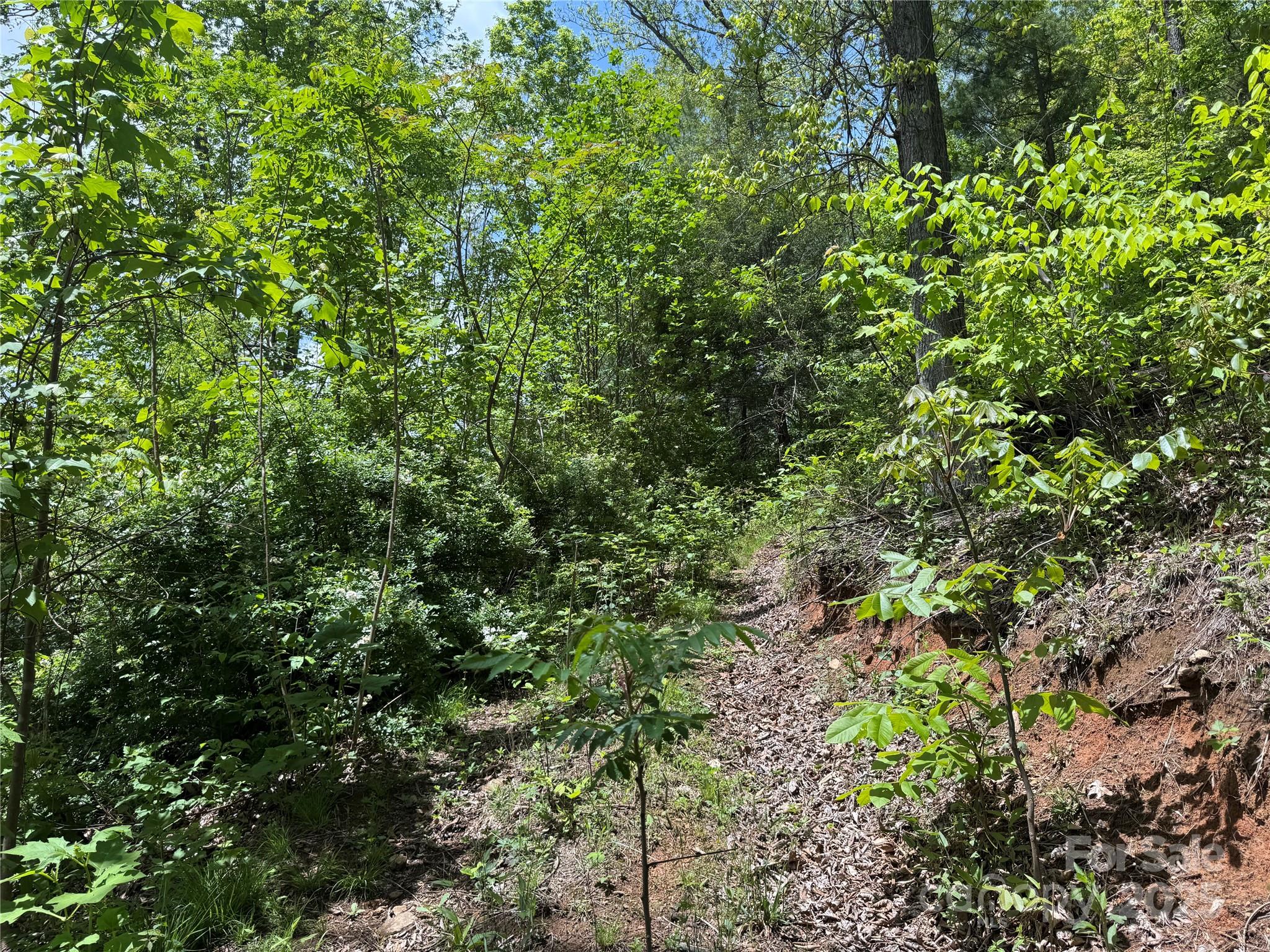000 Rickman Ridge Property Photo 6