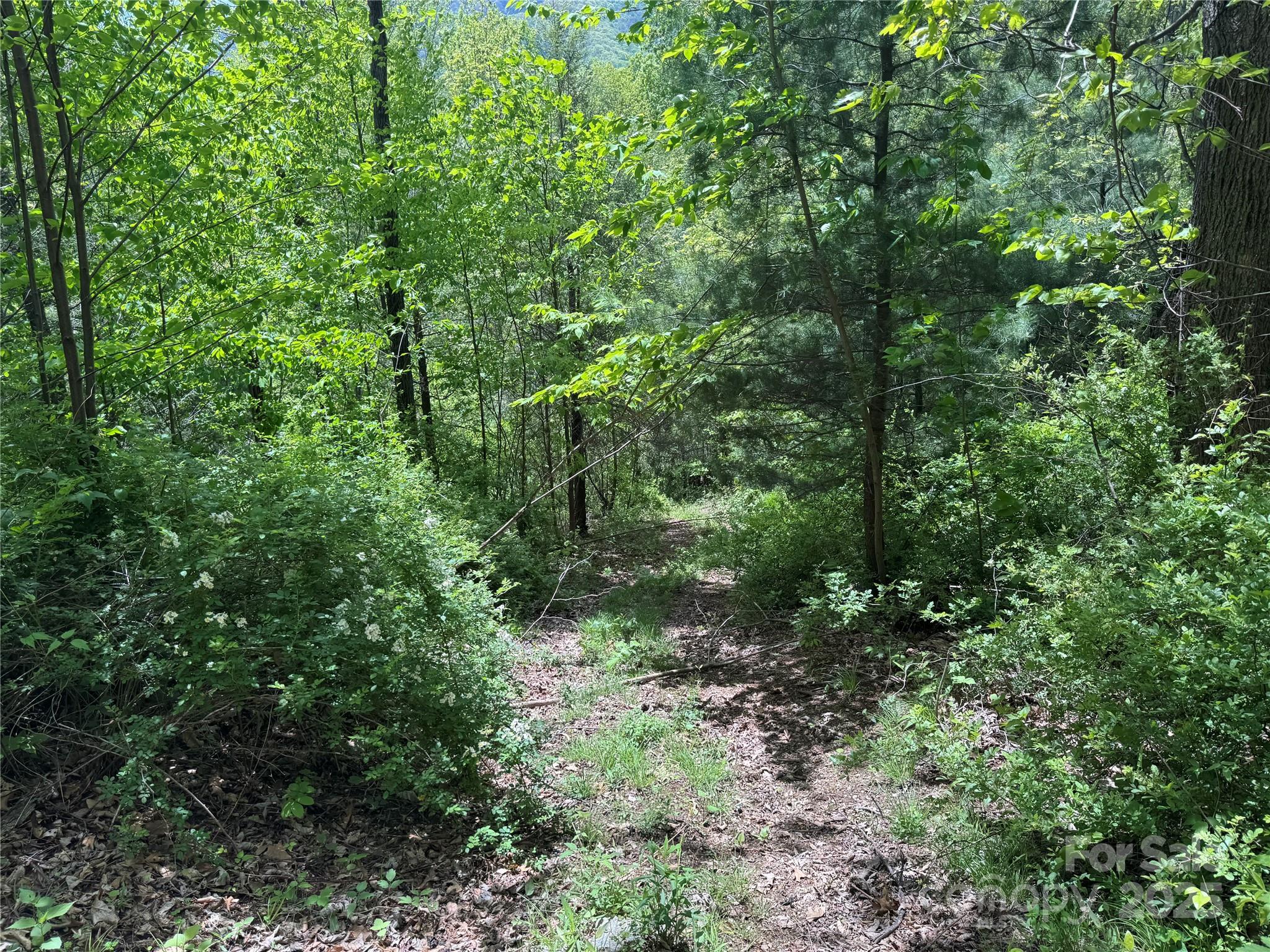 000 Rickman Ridge Property Photo 8
