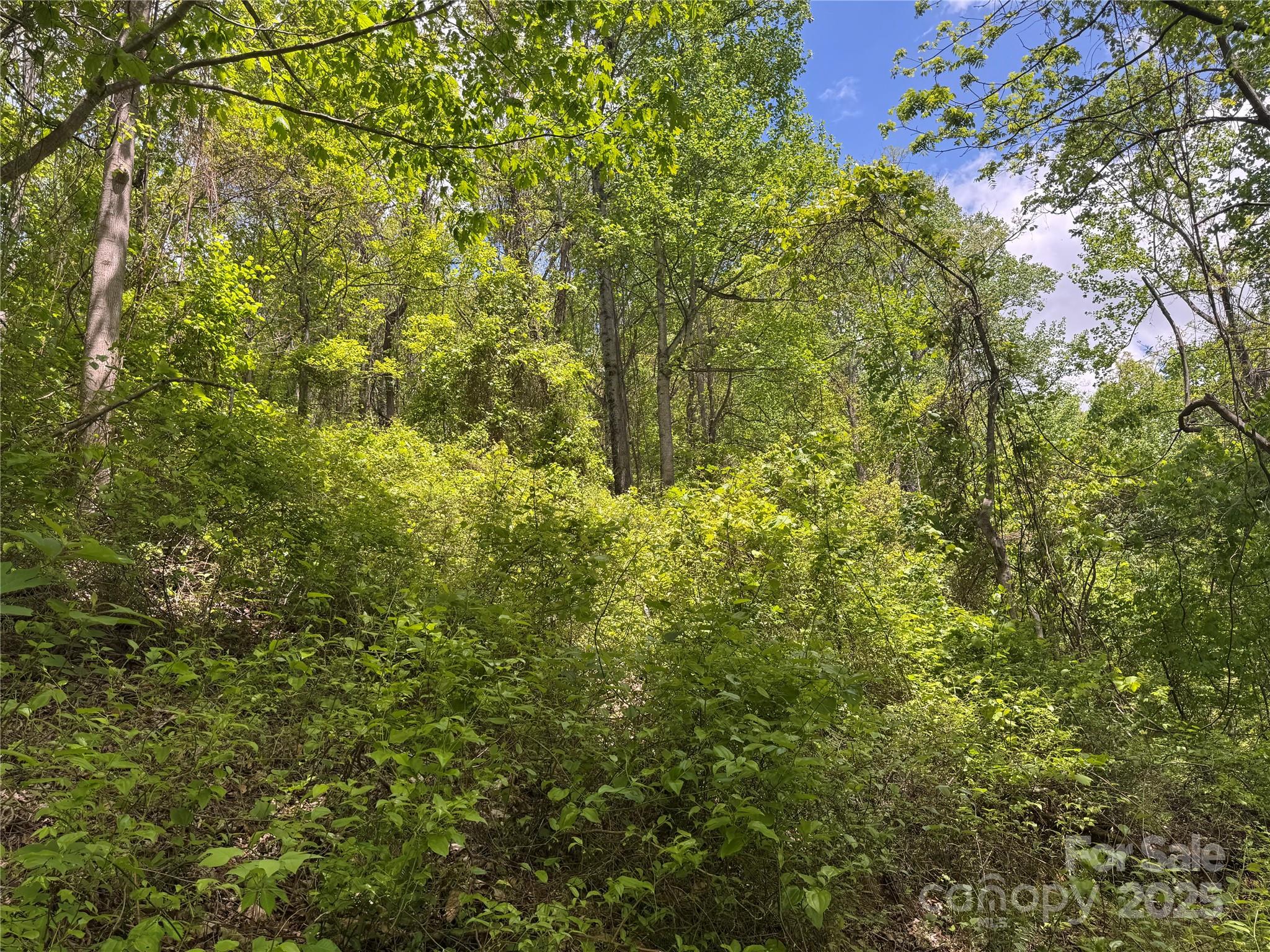 000 Rickman Ridge Property Photo 9