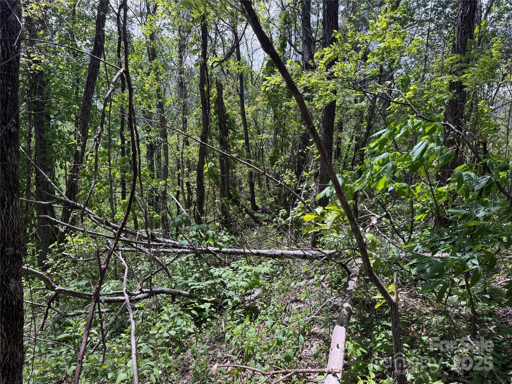 000 Rickman Ridge Property Photo 10