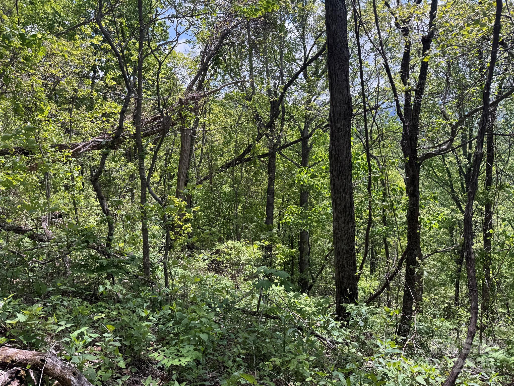 000 Rickman Ridge Property Photo 11