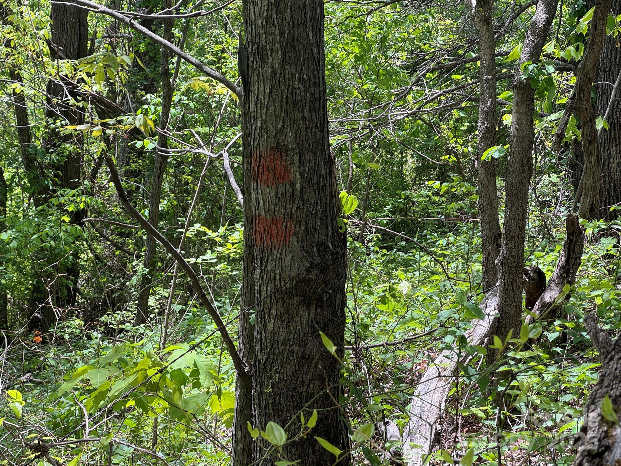 000 Rickman Ridge Property Photo 12