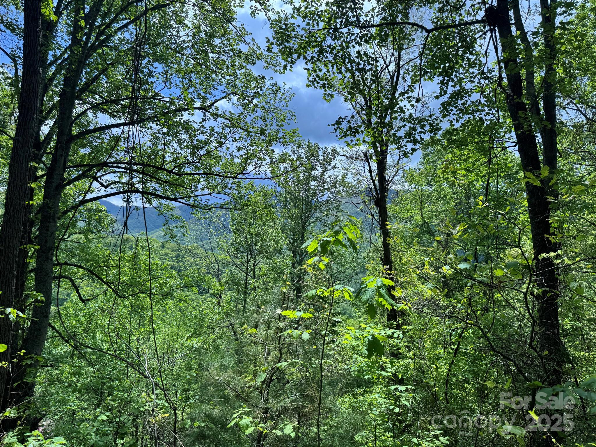 000 Rickman Ridge Property Photo 13
