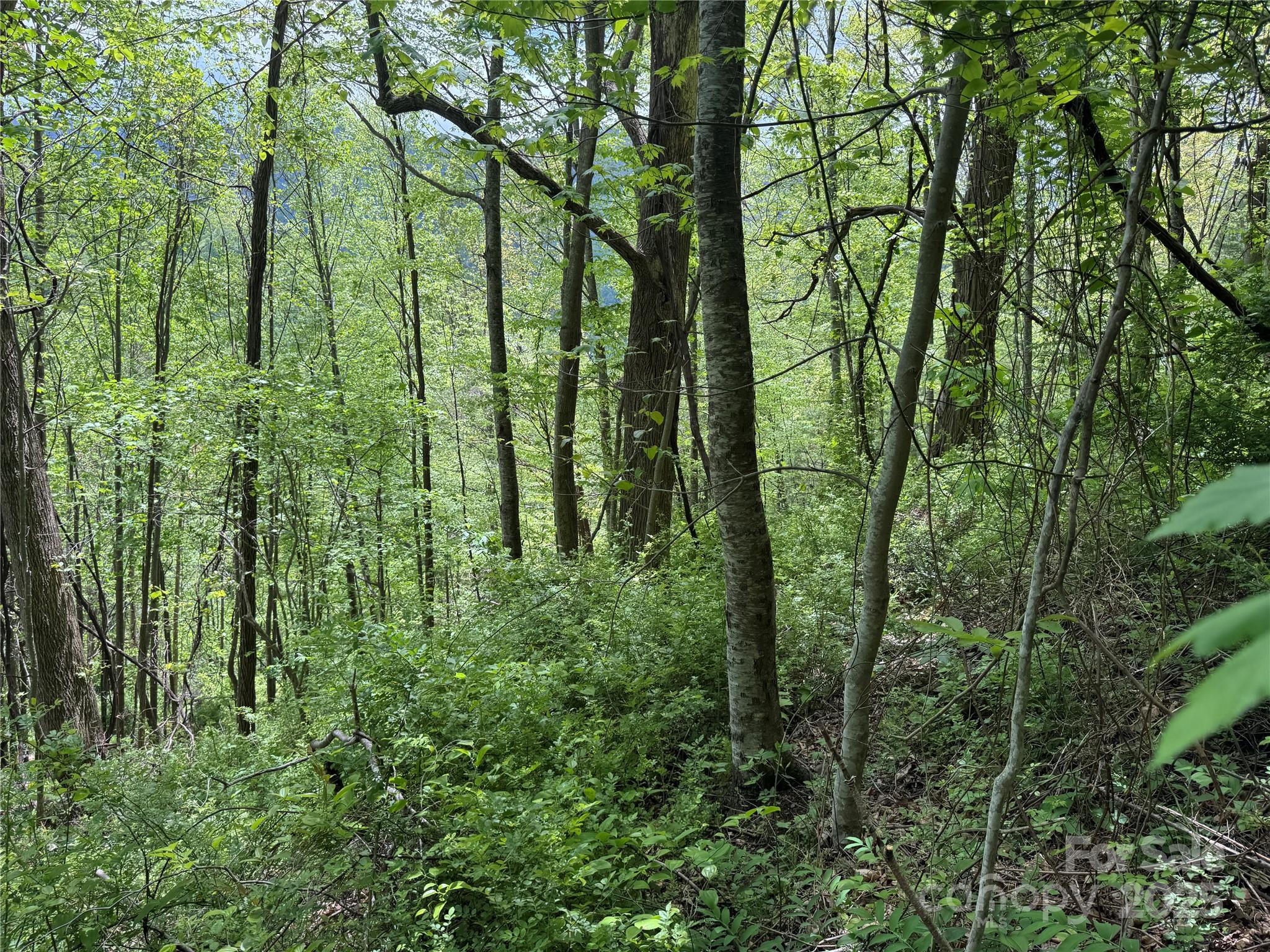 000 Rickman Ridge Property Photo 14