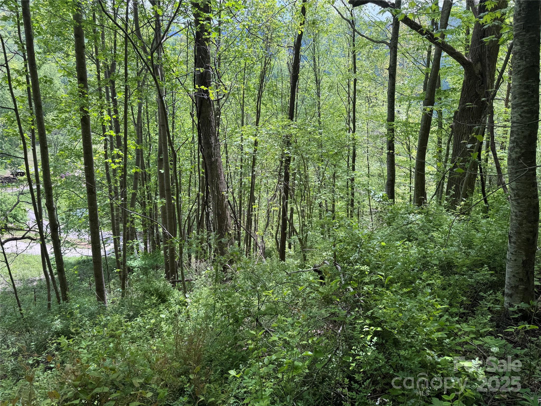 000 Rickman Ridge Property Photo 15