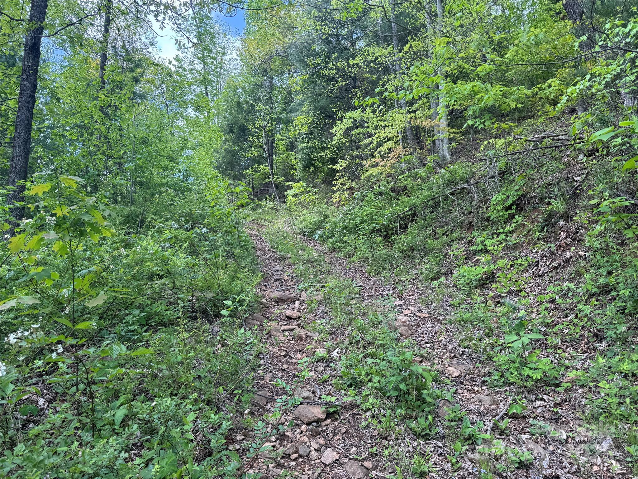 000 Rickman Ridge Property Photo 16