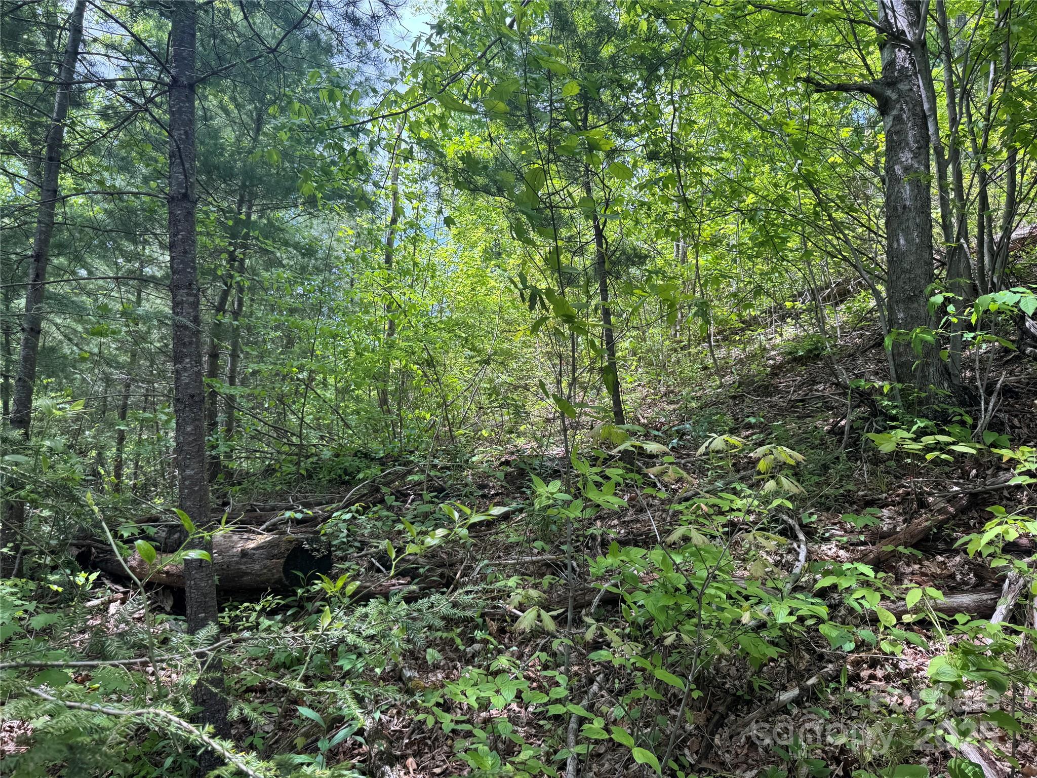 000 Rickman Ridge Property Photo 17