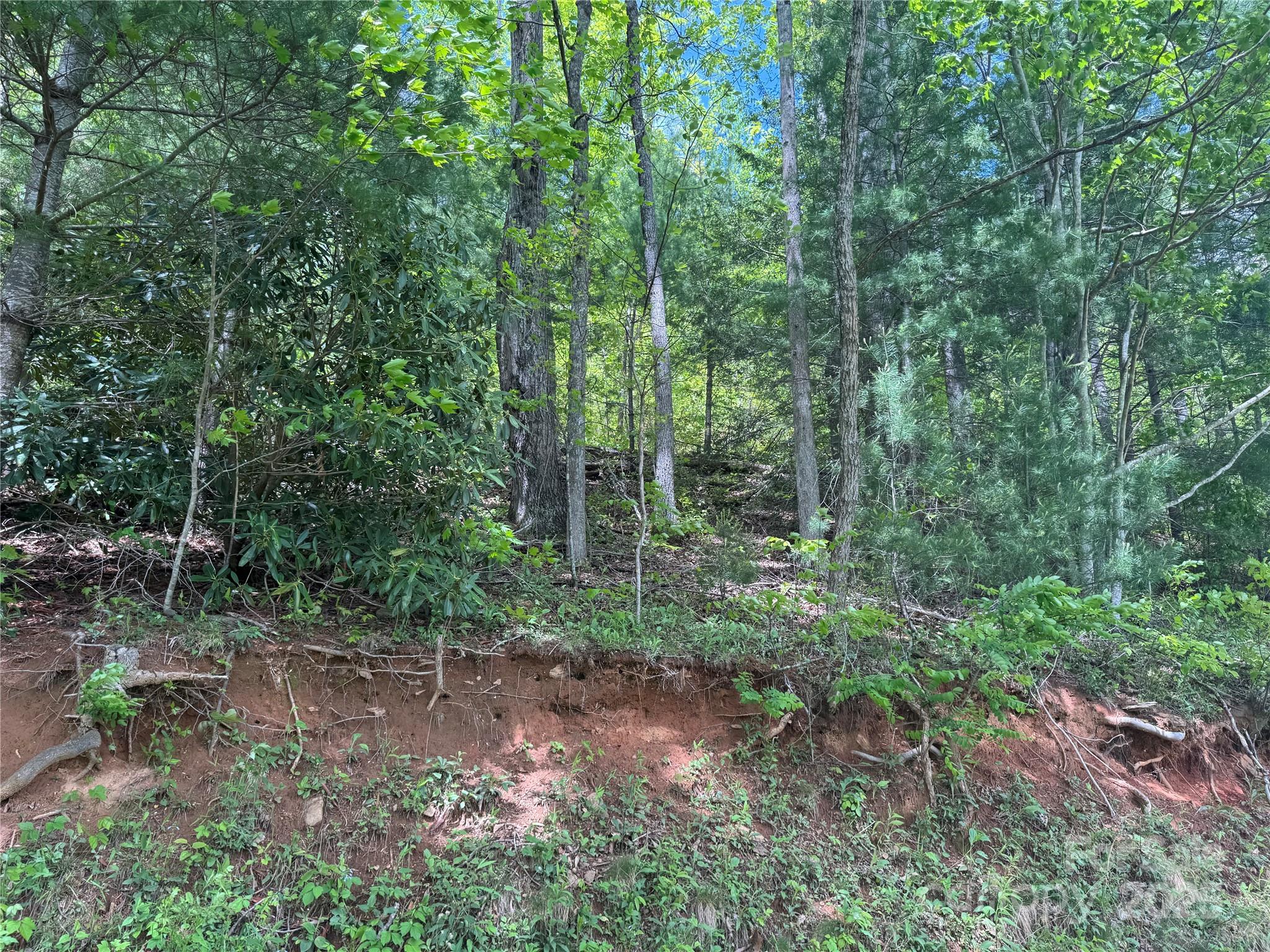 000 Rickman Ridge Property Photo 18