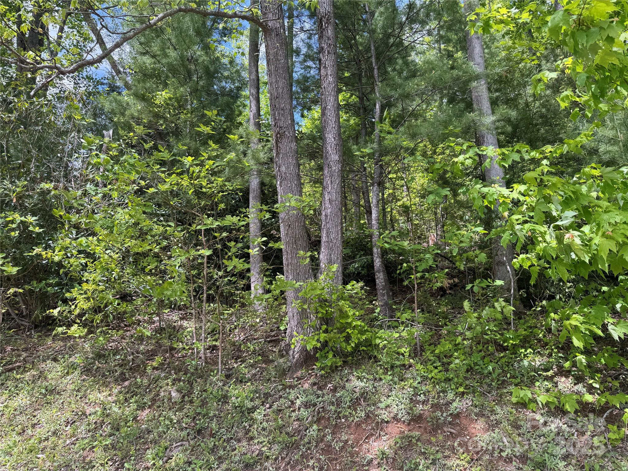 000 Rickman Ridge Property Photo 19