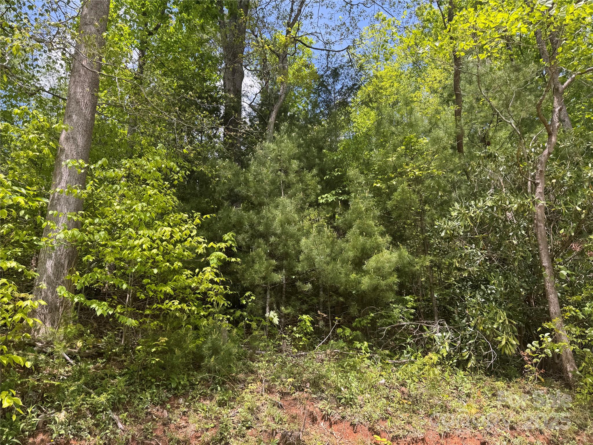 000 Rickman Ridge Property Photo 20