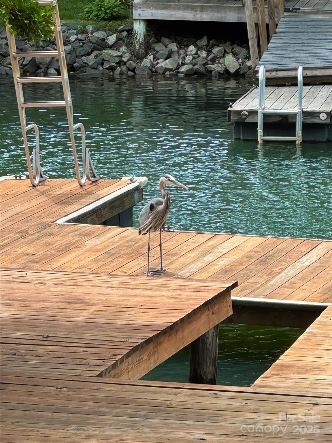 147 Bluewing Lane 274 Property Photo 30