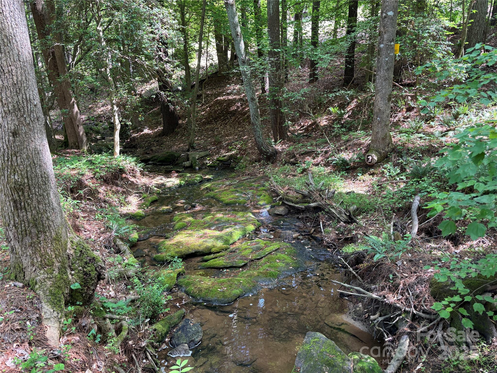 5137 Buckhead Road Property Photo 4