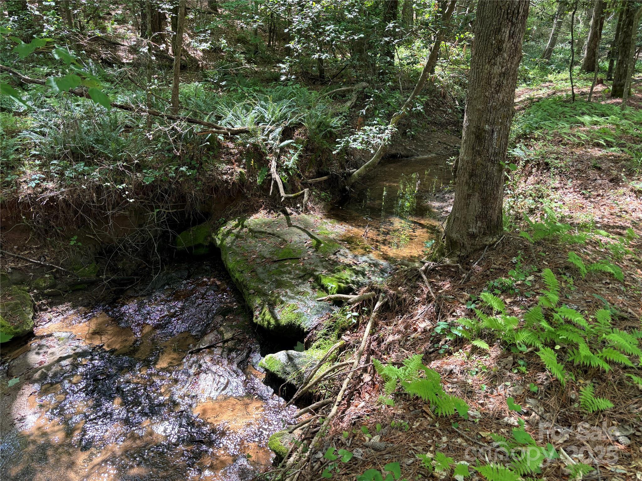 5137 Buckhead Road Property Photo 38